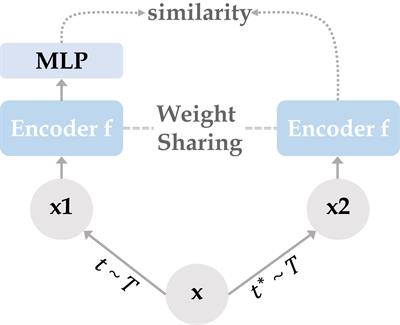 PCG-net: feature adaptive deep learning for automated head and neck organs-at-risk segmentation